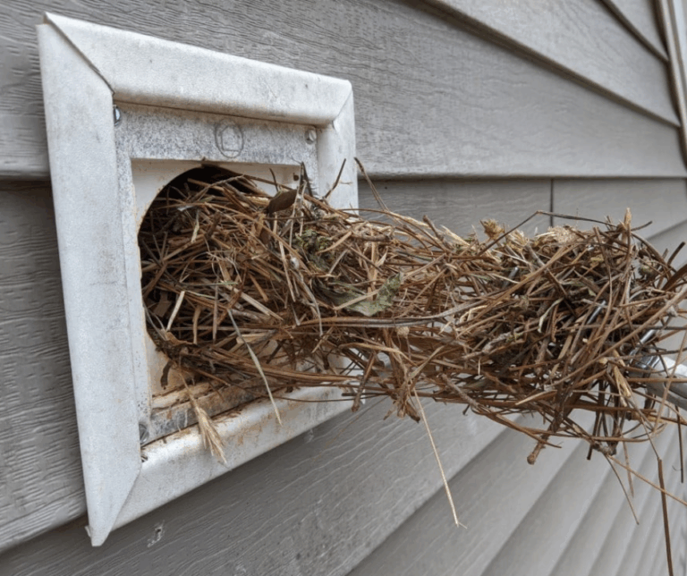 A technician removes a bird guard from a dryer vent, exposing the open duct against the exterior wall of a building.